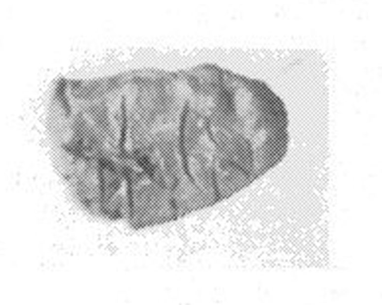 Photograph of tablet HT Wa 1017