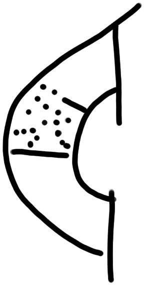 Sign A310, tracing from KN 28a