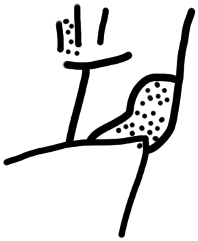 Sign A519, tracing from KN 2