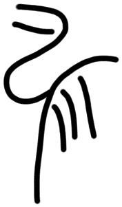 Sign A611, tracing from TY 3a
