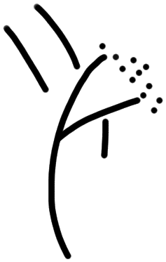 Sign A610 on HT 2
