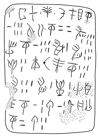 Tracing of HT 116a