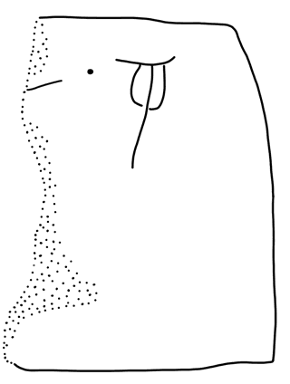 Tracing of HT 154B