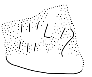 Tracing of HT 154G