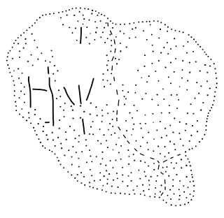 Tracing of HT 154Ja