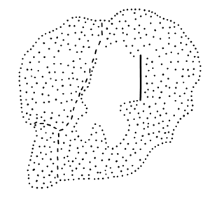 Tracing of HT 154Jb