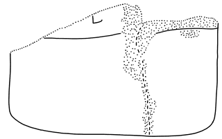 Tracing of HT 41b