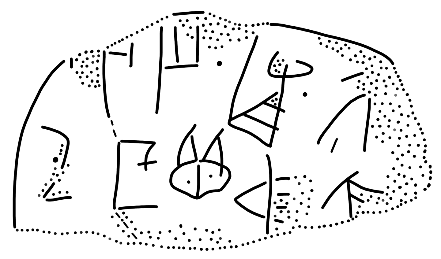 Tracing of HT 81