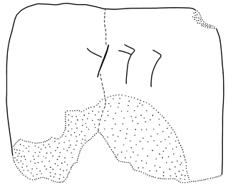 Tracing of HT 97b
