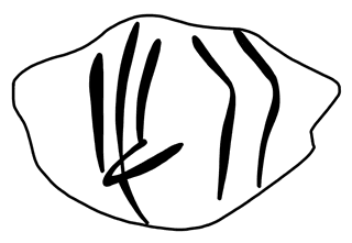Tracing of HT Wa 1006