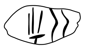 Tracing of HT Wa 1008