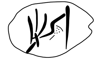 Tracing of HT Wa 1022