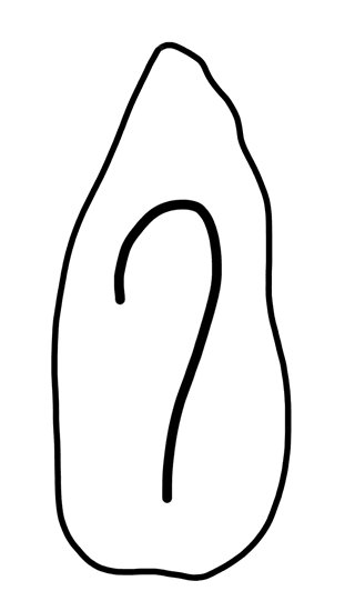 Tracing of HT Wa 1024