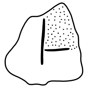Tracing of HT Wa 1031