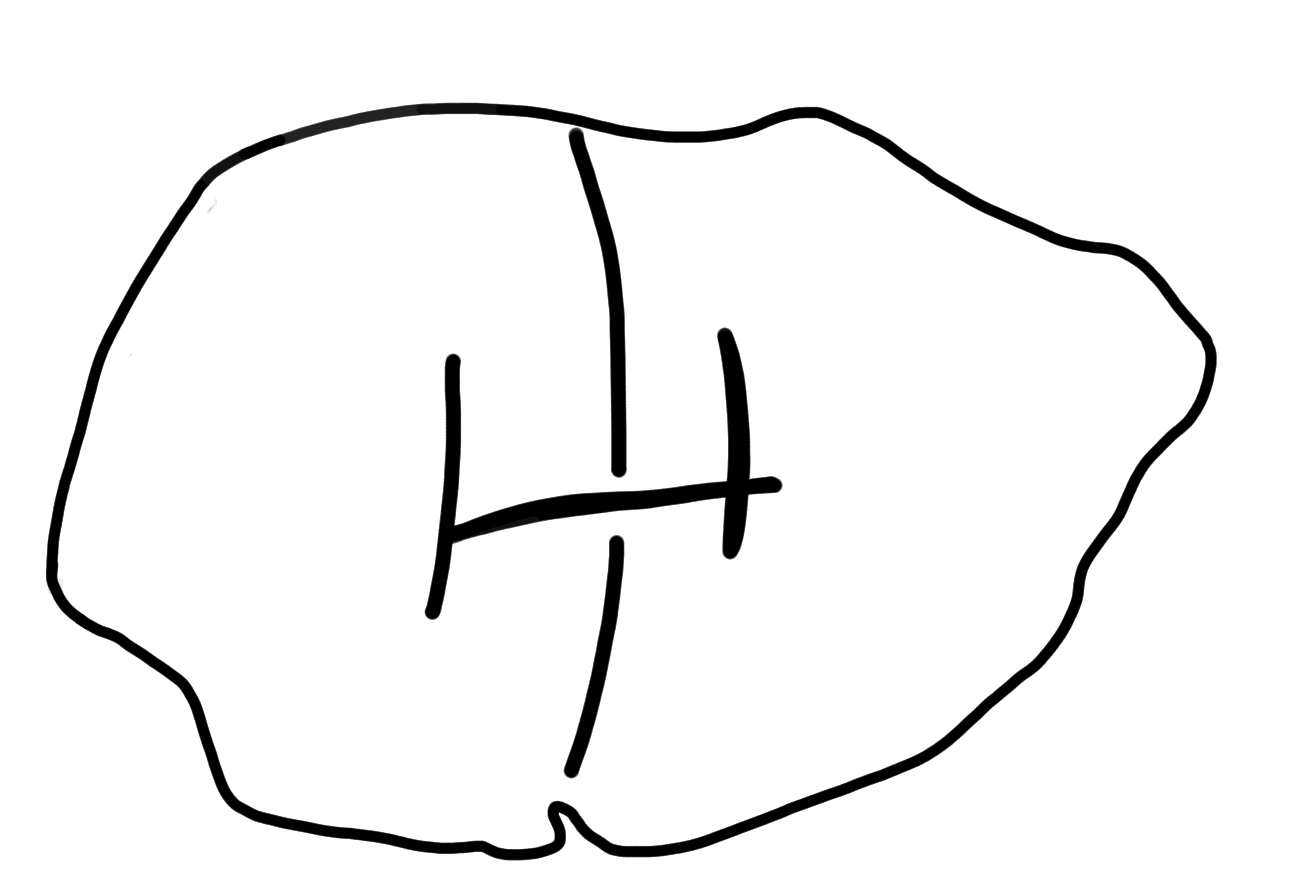 Tracing of HT Wa 1206