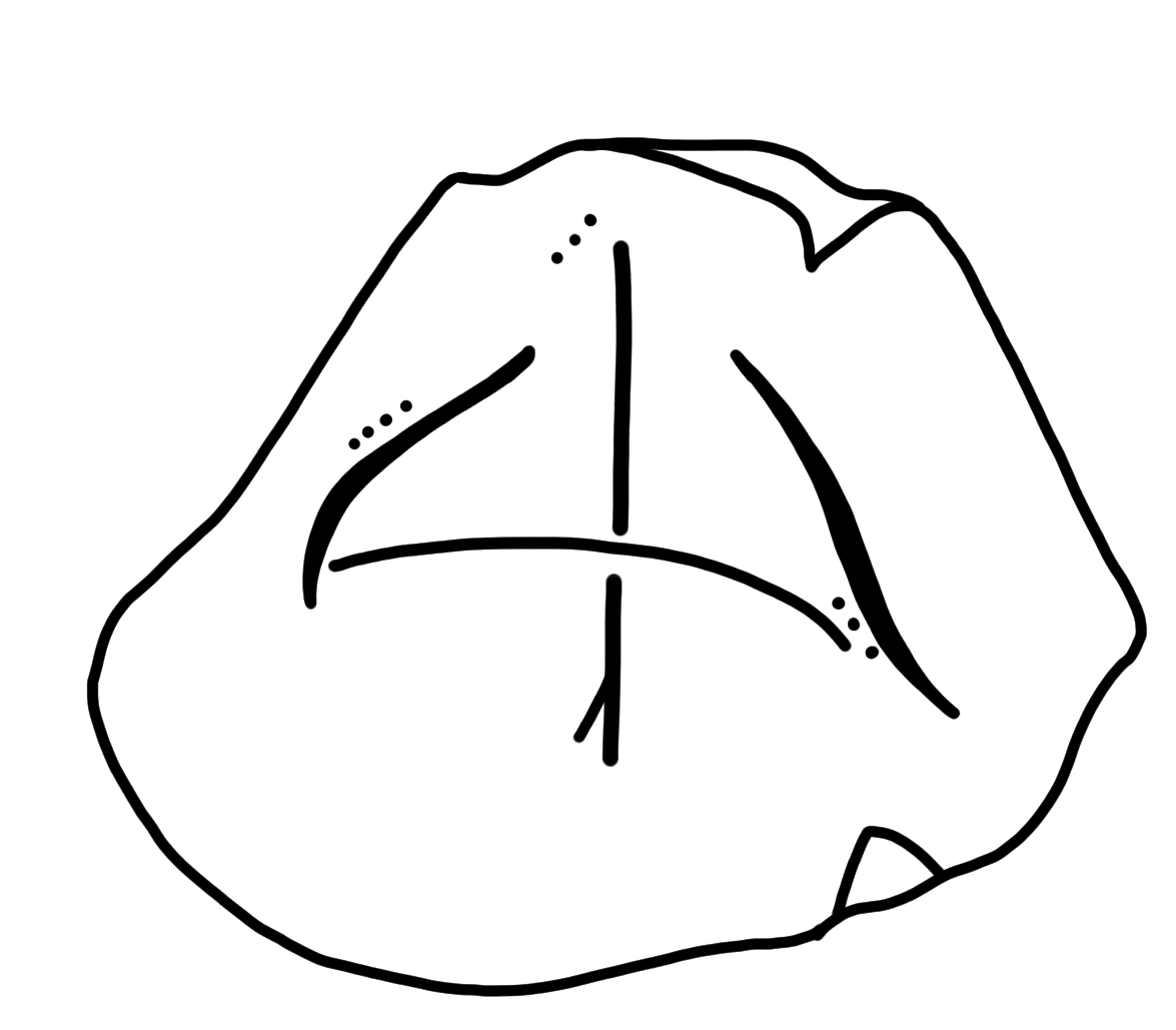 Tracing of HT Wa 1236