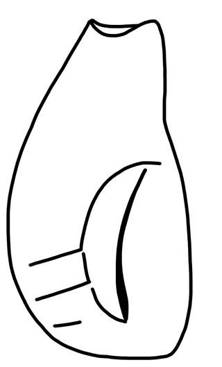 Tracing of HT Wa 1305