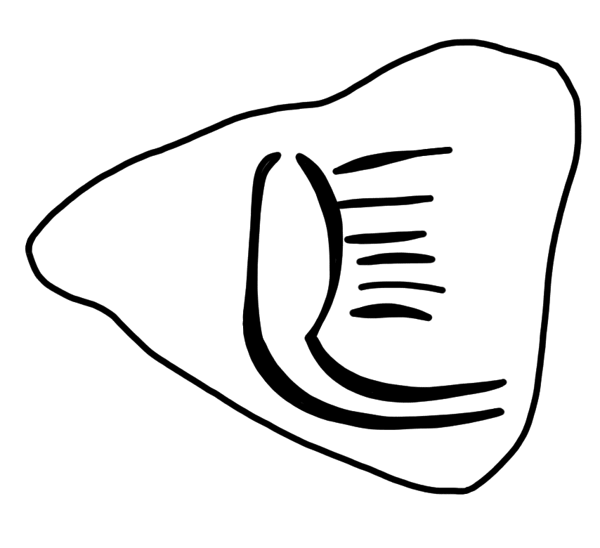 Tracing of HT Wa 1317
