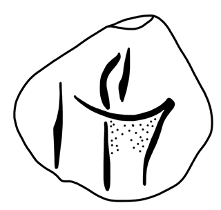 Tracing of HT Wa 1547