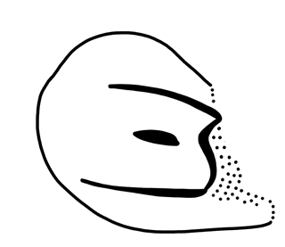 Tracing of HT Wa 1612