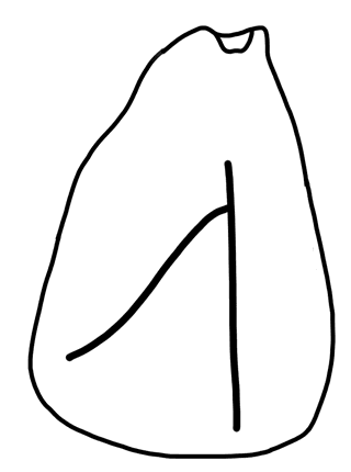 Tracing of HT Wa 1631