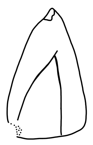 Tracing of HT Wa 1639