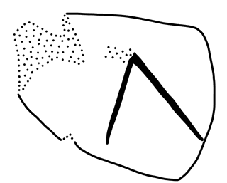 Tracing of HT Wa 1669