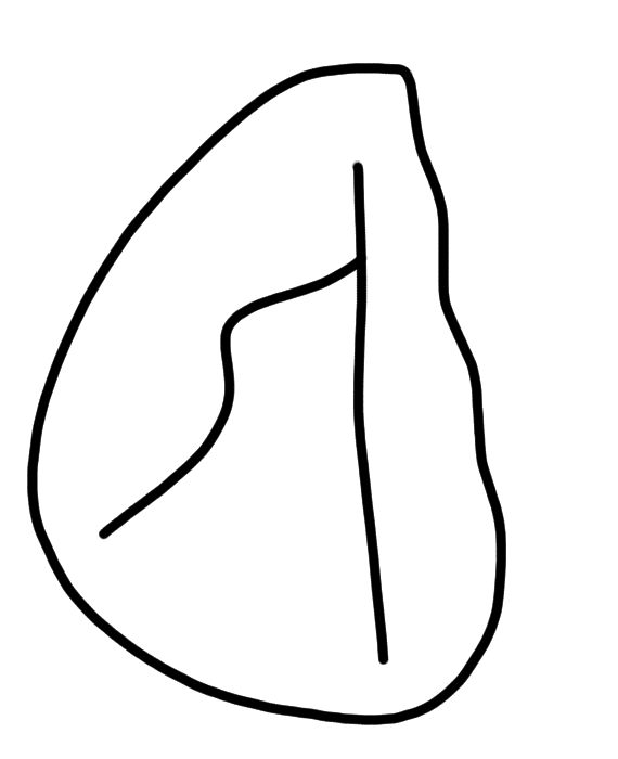 Tracing of HT Wa 1725