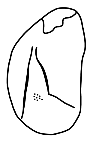 Tracing of HT Wa 1734