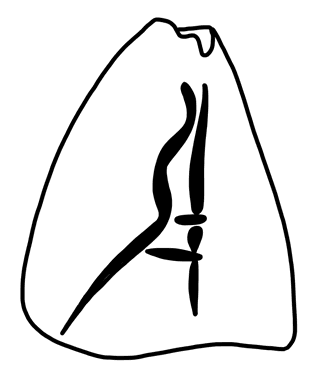 Tracing of HT Wa 1793