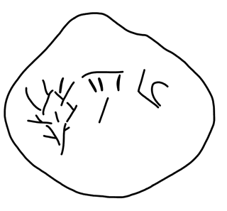Tracing of HT Wc 3011