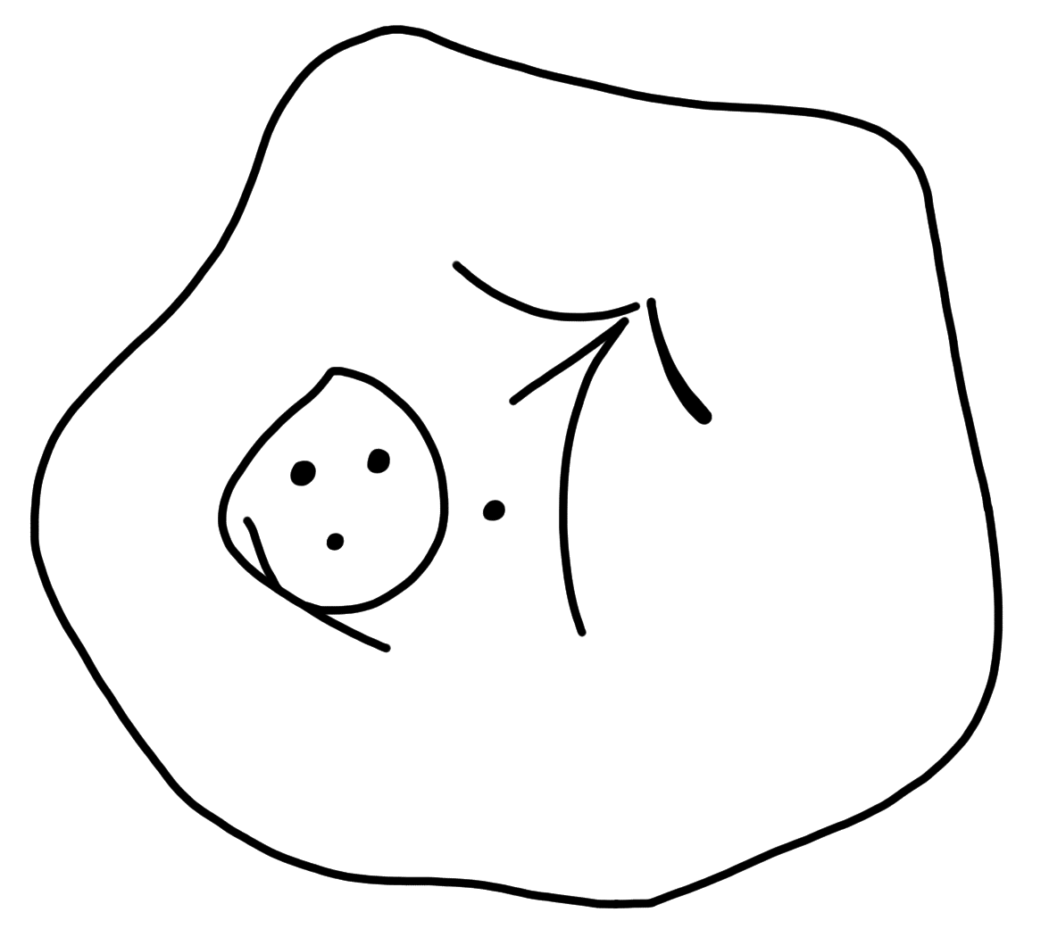Tracing of HT Wc 3014b