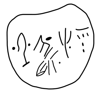 Tracing of HT Wc 3017a