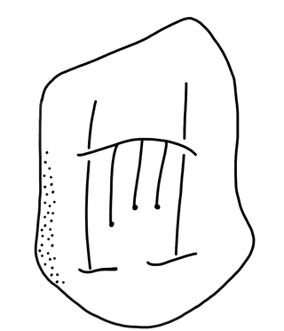 Tracing of HT Wc 3019