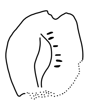 Tracing of KH Wa 1006