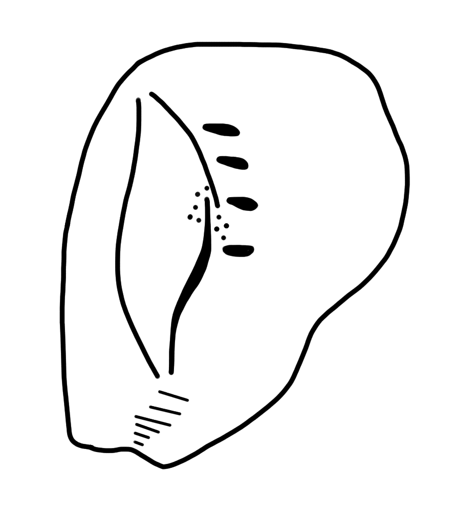 Tracing of KH Wa 1007