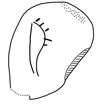 Tracing of KH Wa 1008