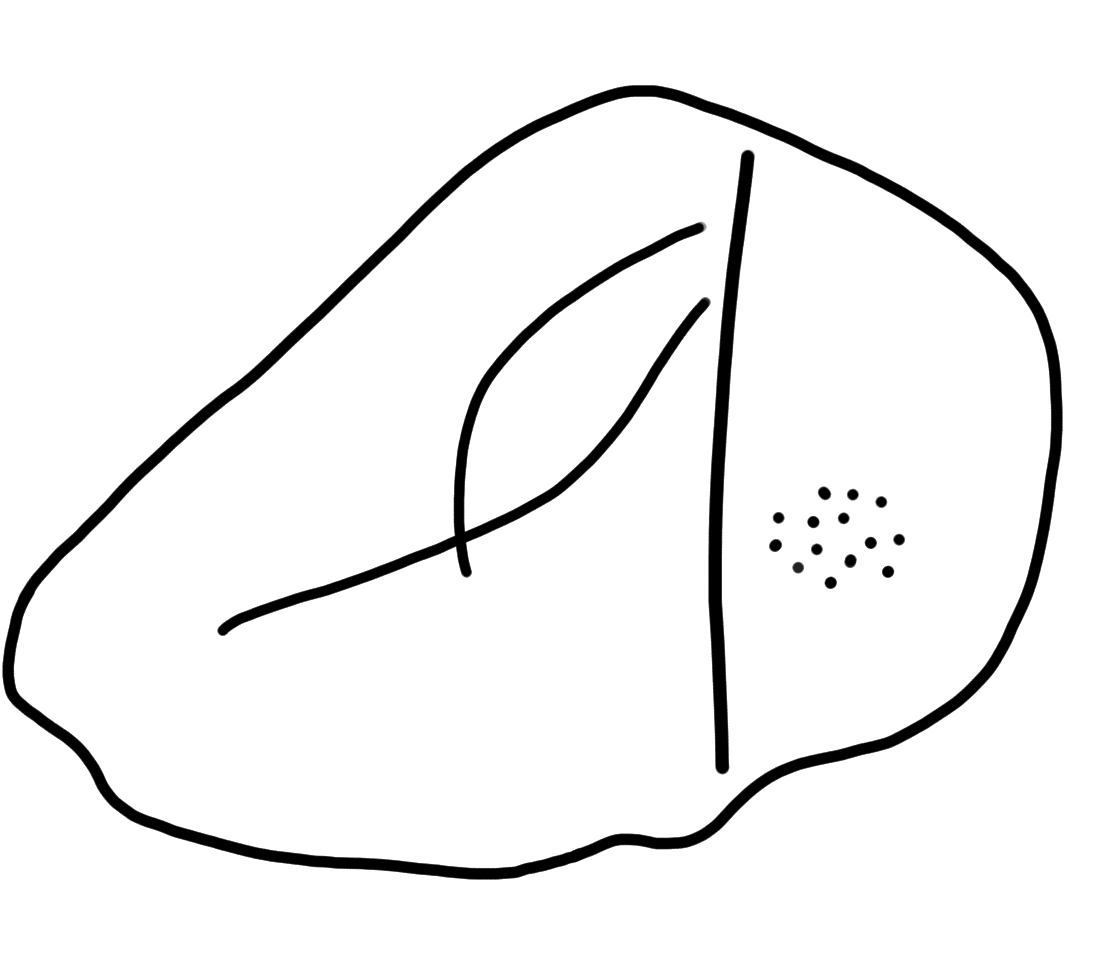 Tracing of KH Wa 1011