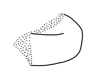 Tracing of KH Wa 1020