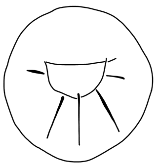 Tracing of KH Wc 2008