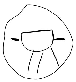 Tracing of KH Wc 2011