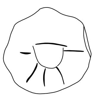 Tracing of KH Wc 2014