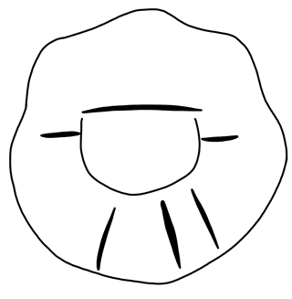 Tracing of KH Wc 2015
