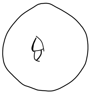 Tracing of KH Wc 2028