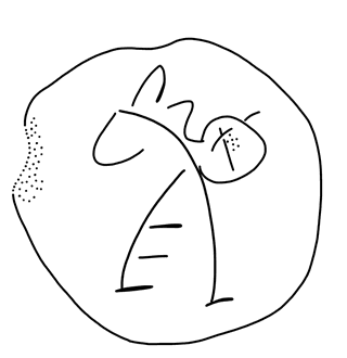 Tracing of KH Wc 2029