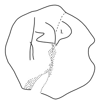 Tracing of KH Wc 2055