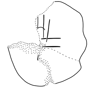 Tracing of KH Wc 2070a