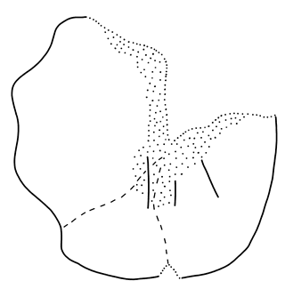 Tracing of KH Wc 2070b