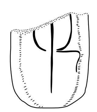 Tracing of KY Zg 1