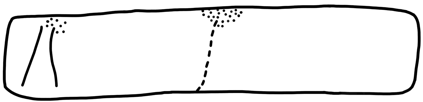 Tracing of MA 1c